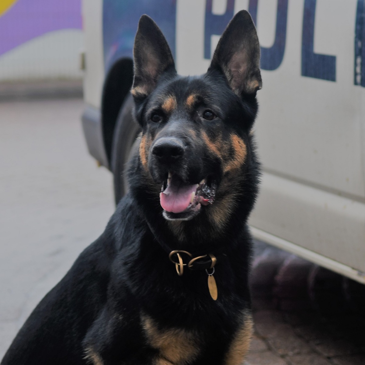 Mies ajoi epäilyn mukaan tahallaan päin poliiautoa Lohjalla – auto meni korjauskelvottomaksi