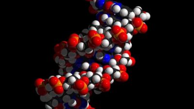 Kaukaiset sukulaiset tilasivat dna-testit netistä – mies kärähti 29 vuotta vanhasta rikoksesta!