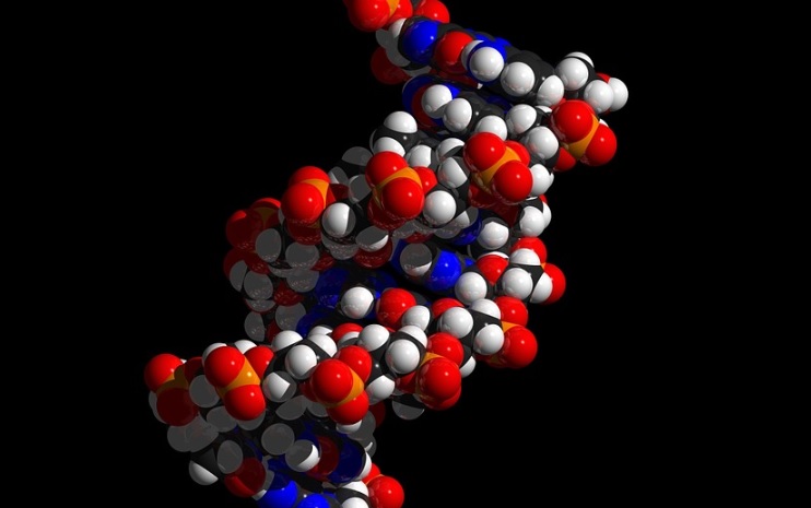 Kaukaiset sukulaiset tilasivat dna-testit netistä – mies kärähti 29 vuotta vanhasta rikoksesta!